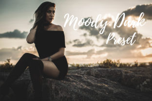 Download Lightroom Presets - Moody Dark - Premium Resources